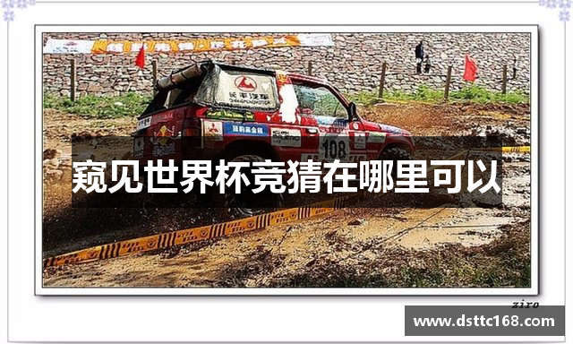 窥见世界杯竞猜在哪里可以